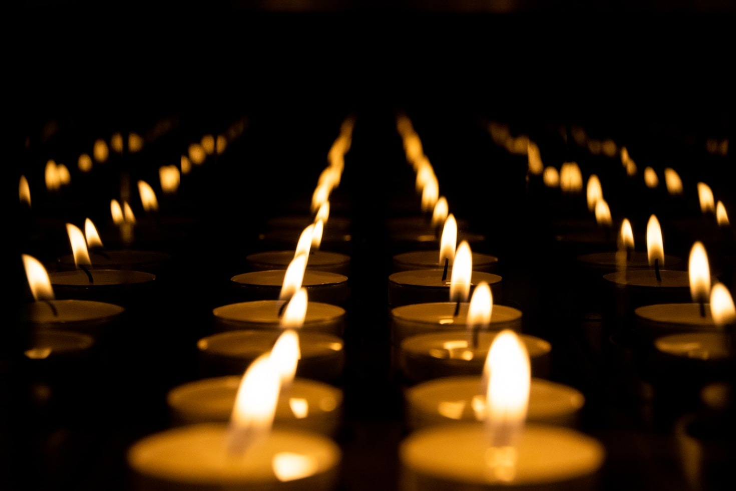 Reflecting on the Joy Sherrie Brought