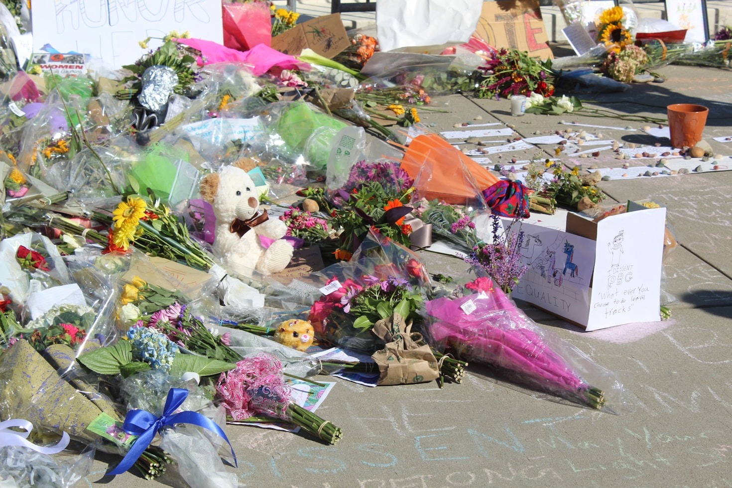 The Enduring Impact of Sherrie Lynn Pittman